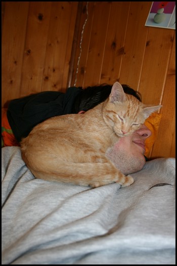 http://krommlech.cowblog.fr/images/Animaux/Chats/IMG0562.jpg